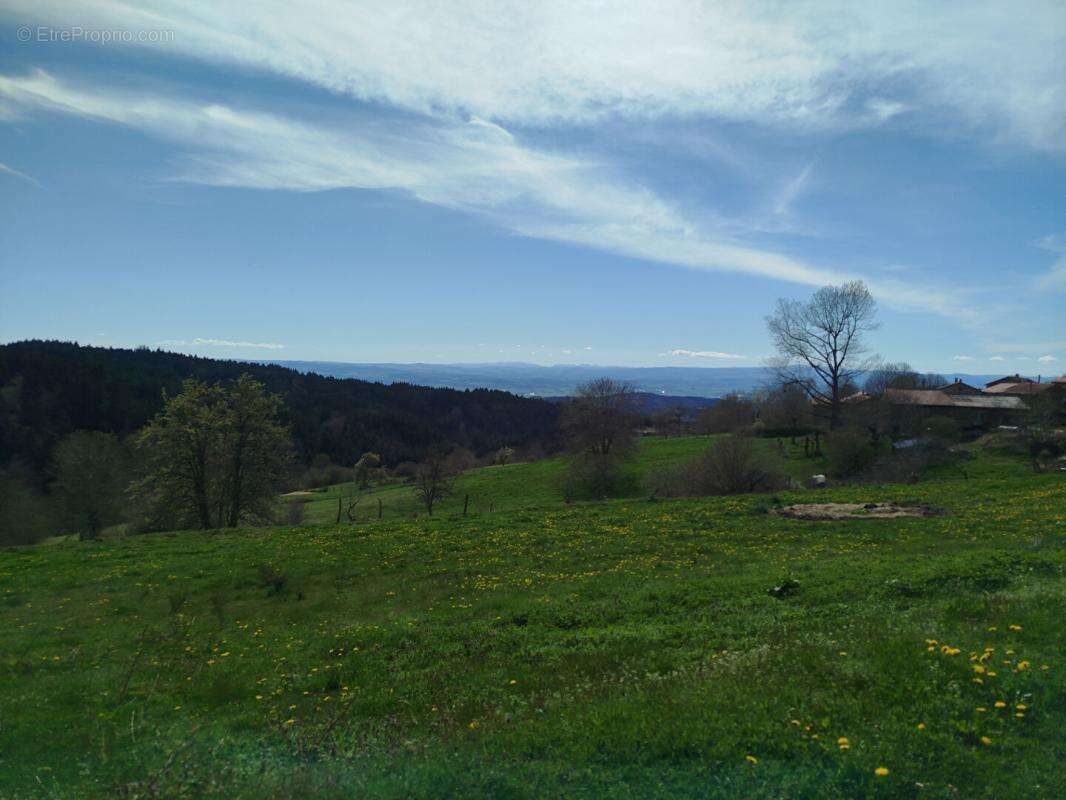 Maison à CHASSIGNOLLES