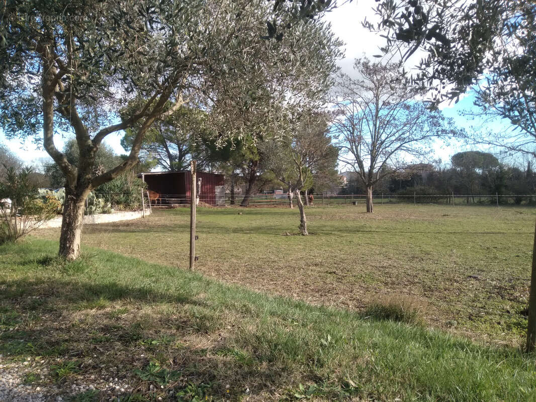 Maison à SAINT-CHRISTOL-LES-ALES