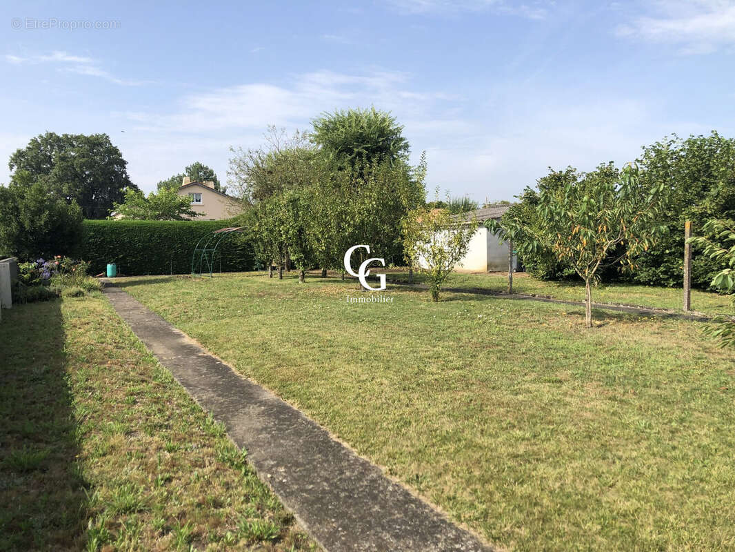 Terrain à VIEILLEVIGNE