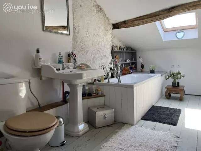 Maison de village rénovée avec gîte indépendant au cœur du Périgord Vert - photo 14