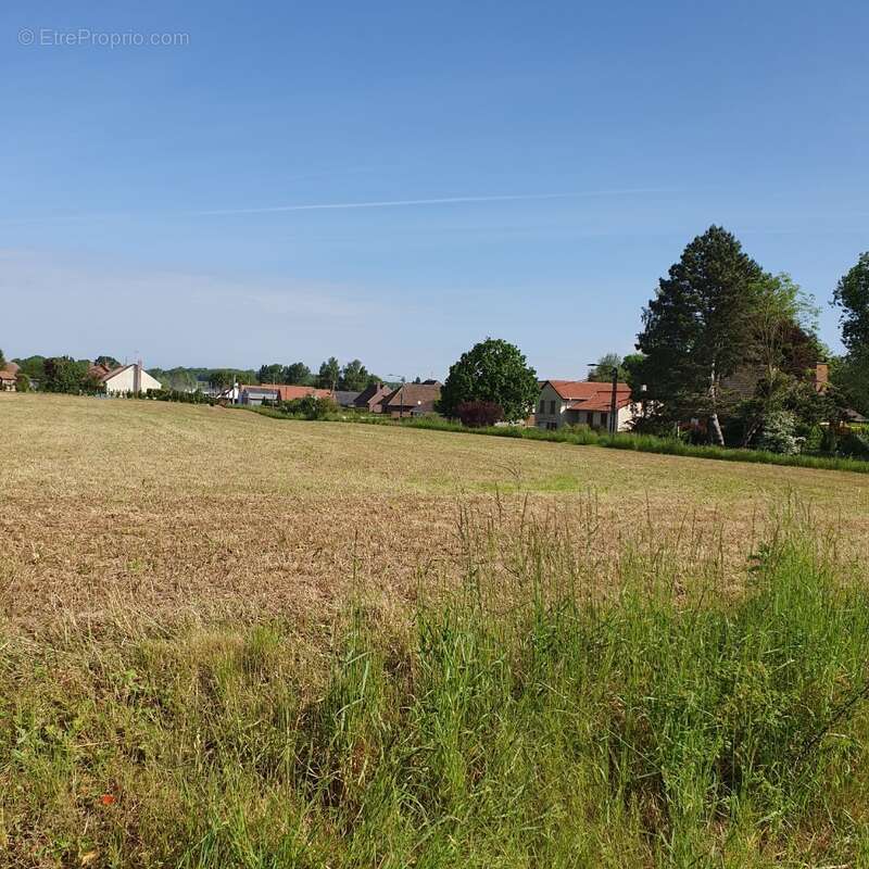 Terrain 917 m² à Wailly  - photo 2