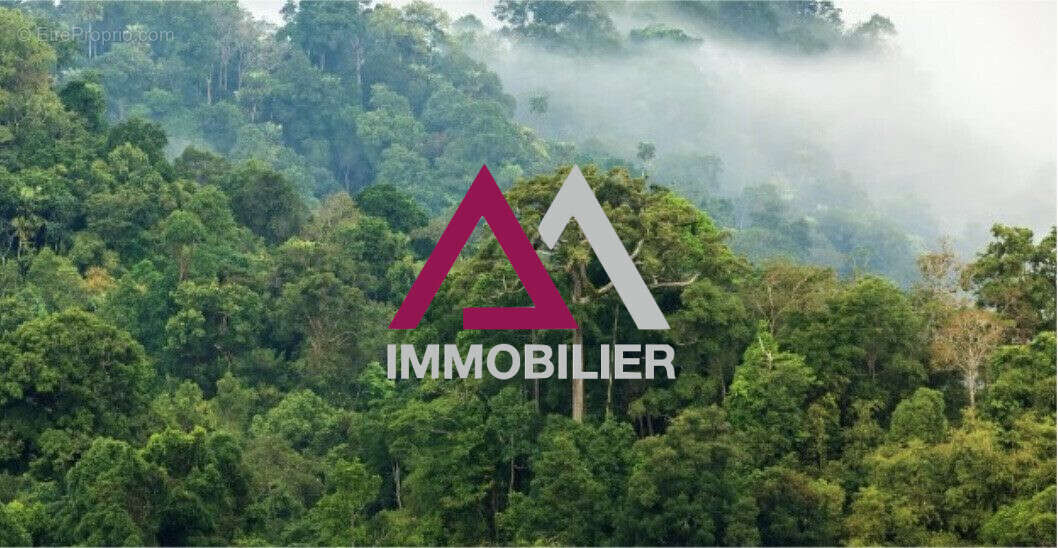 Terrain à SAINT-DENIS