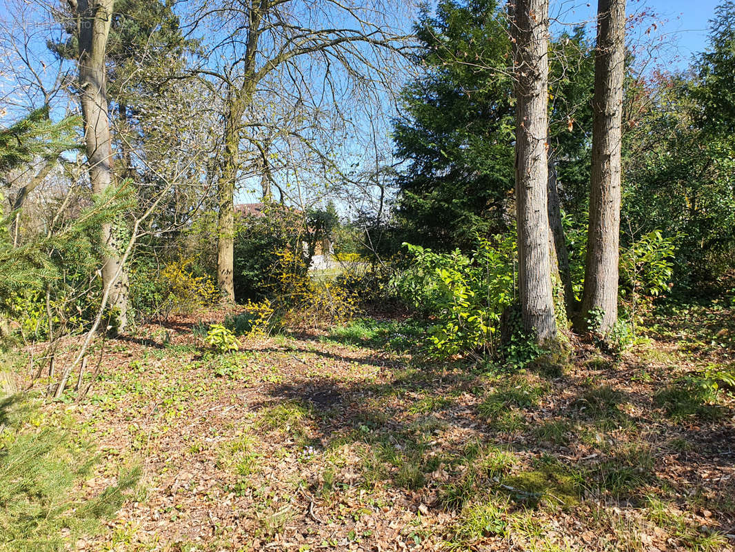 Terrain à LA CELLE-SAINT-CLOUD
