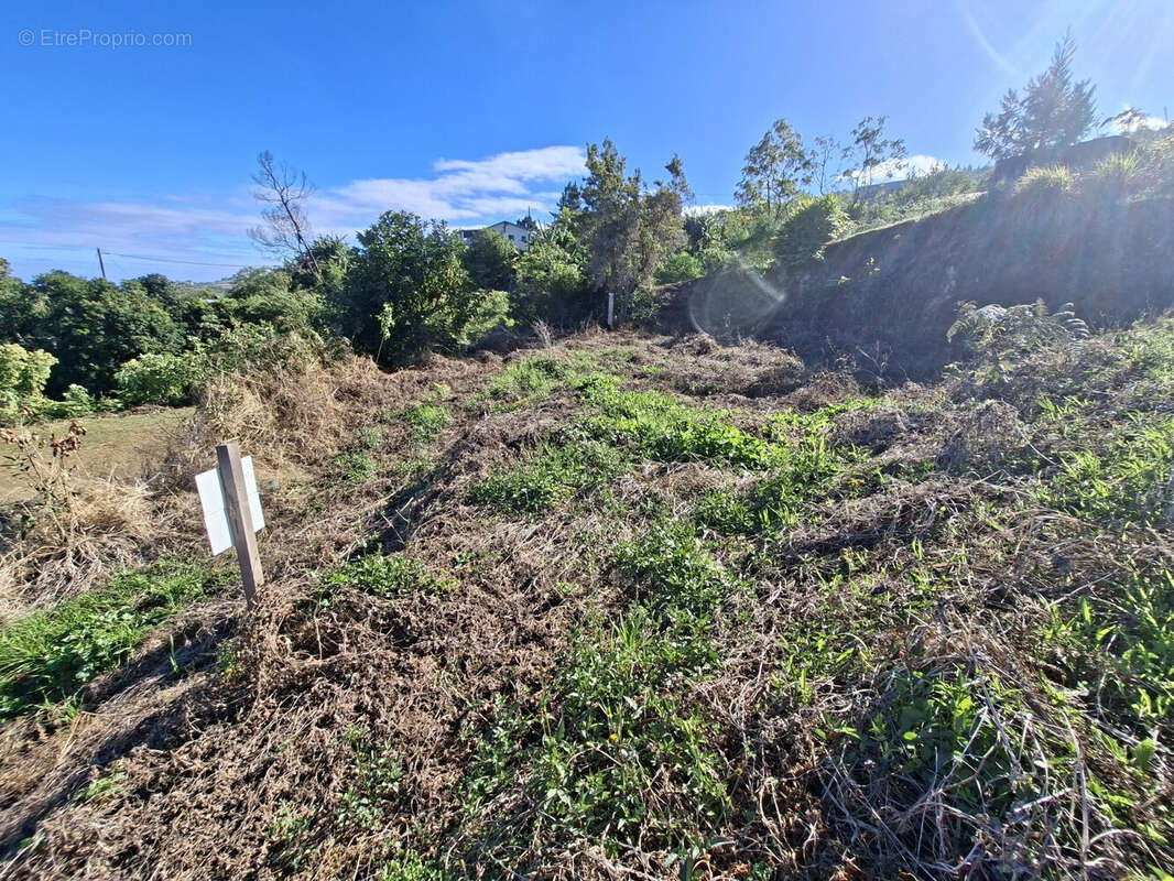 Terrain 859 m² à Saint-Leu  - photo 6