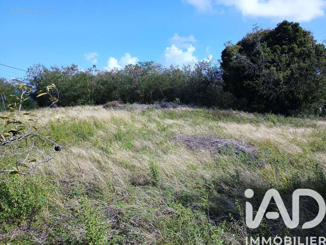 Photo 4 - Terrain à ANSE-BERTRAND