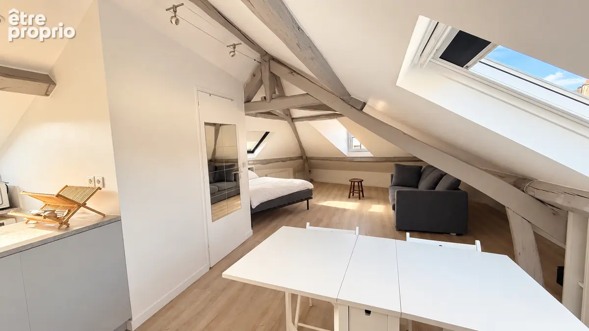 Studio atypique de 49,88 m² au sol, avec potentiel de 2 pièces - photo 8