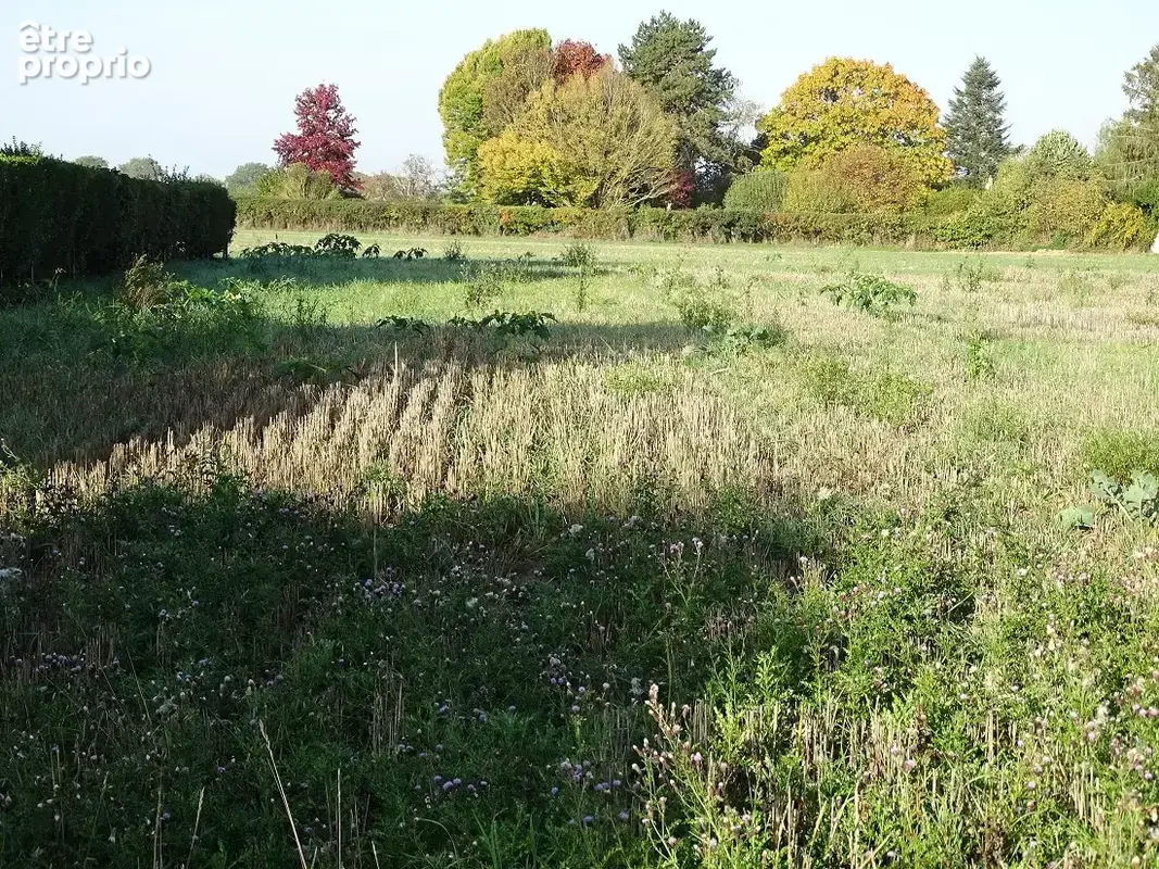 Terrain à SAINTS