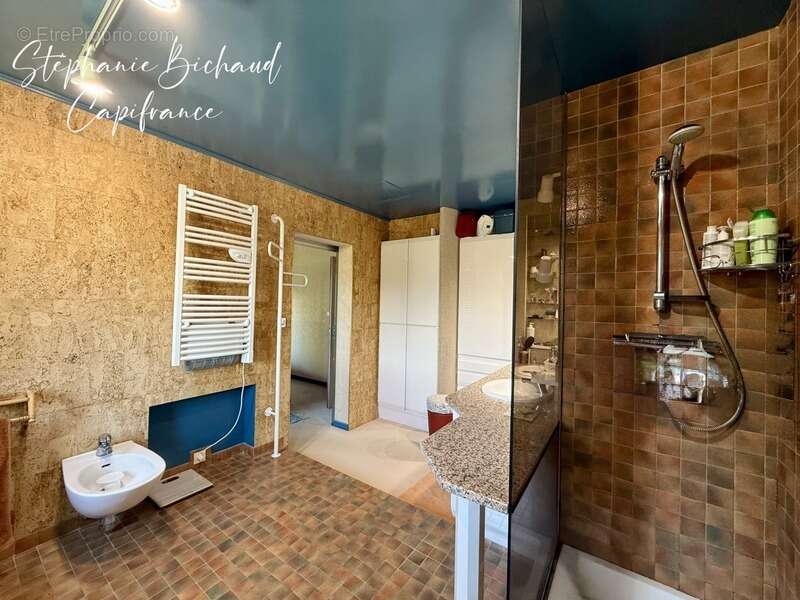Propriete à vendre 7 pièces chateauvieux (05) - photo 50