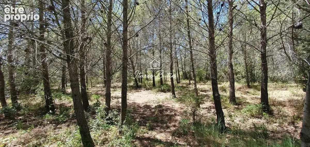 Terrain 7 875 m² à vendre à Quarante (34310) - photo 8