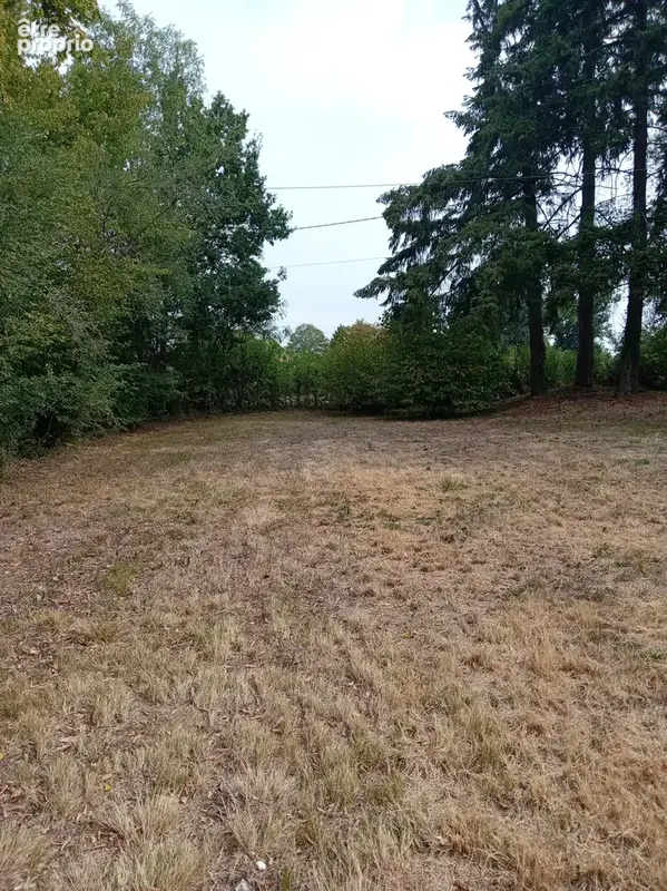 Grande maison familiale à la campagne - photo 3