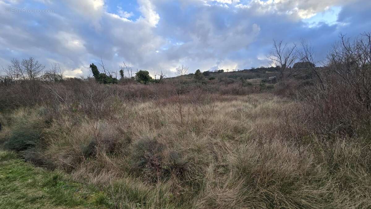 Terrain à PAILHES