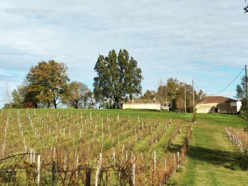 Maison à CASTELNAU-D'AUZAN