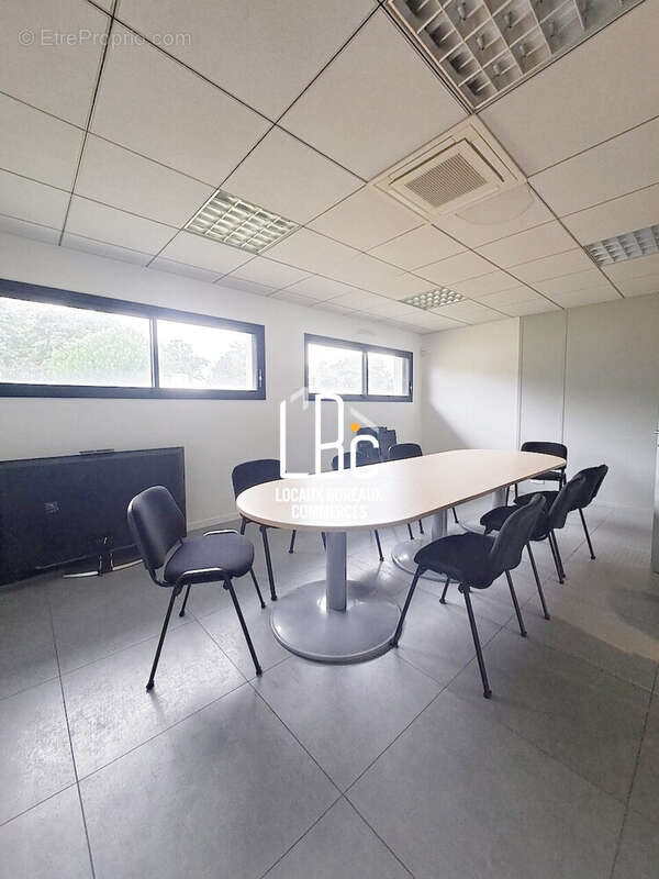 Commerce à REMOUILLE