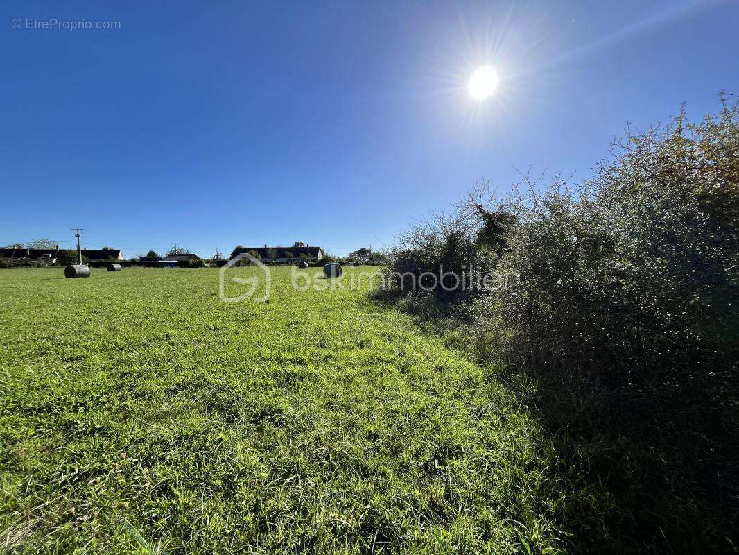 Terrain à JUSSY-LE-CHAUDRIER