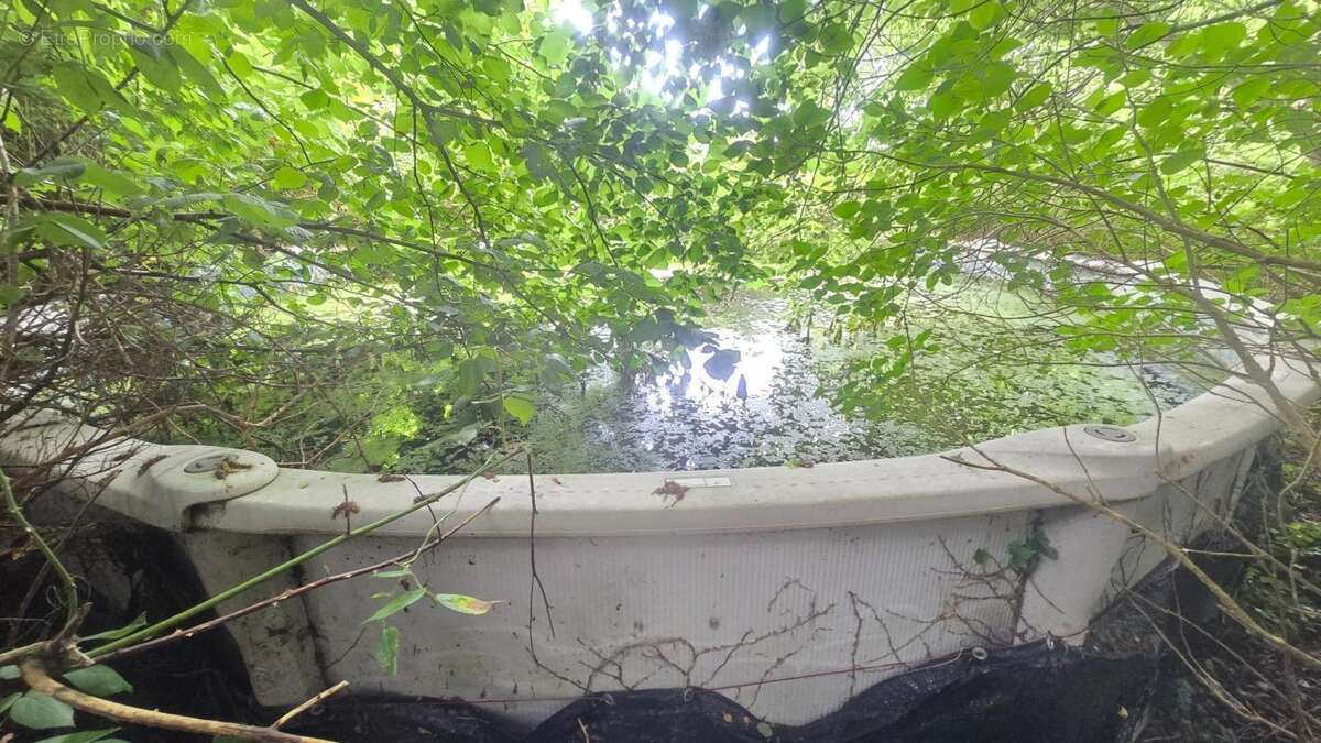 Au cœur de la forêt - photo 16