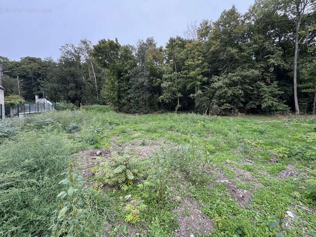 Terrain à SAINT-PRIX