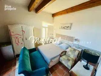 Vente proprriete en camargue aigues-mortes piscine gites - photo 34