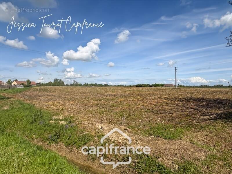 Terrain à SAINT-CHRISTOPHE-EN-BRESSE