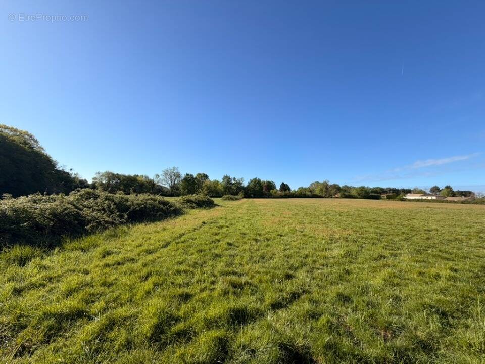 Terrain à CREON