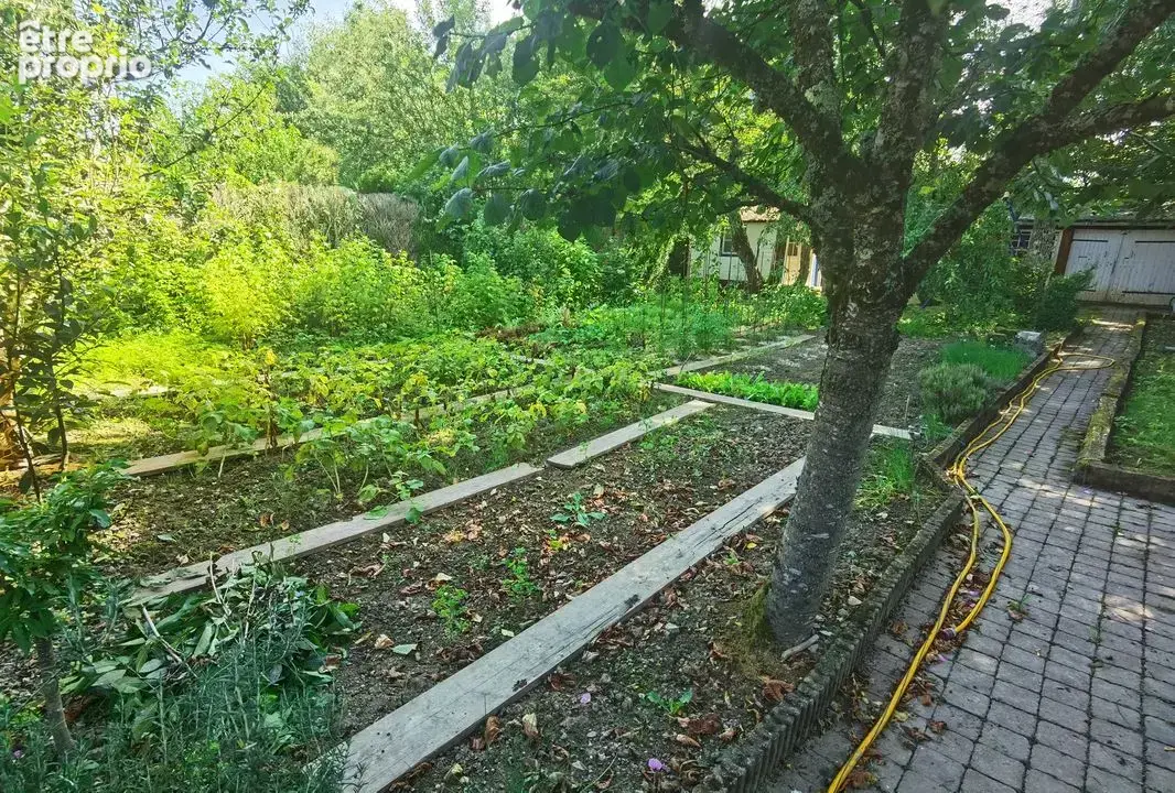 Maison aux portes du Morvan - photo 8