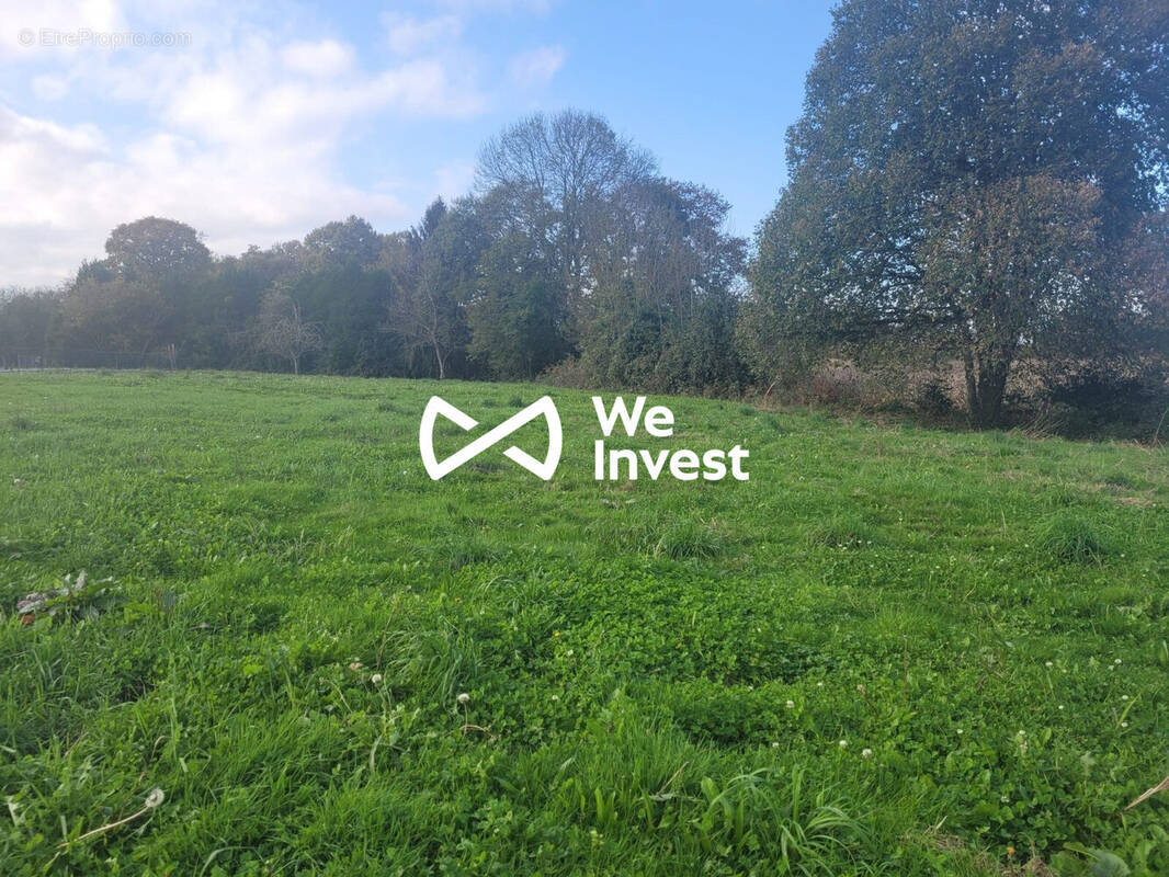 Terrain à LIMENDOUS