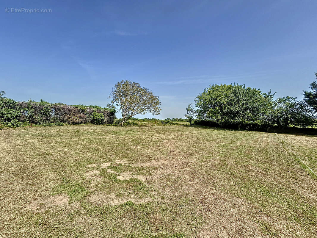 Terrain à PORTBAIL