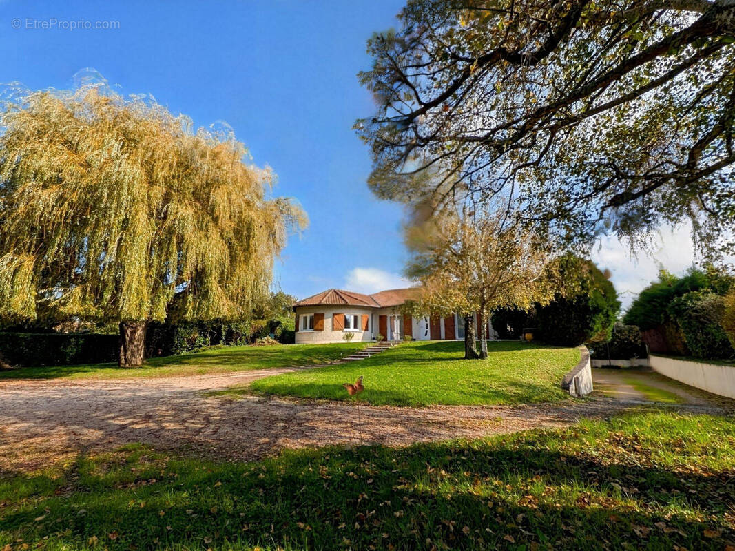 Maison à MESSIMY-SUR-SAONE