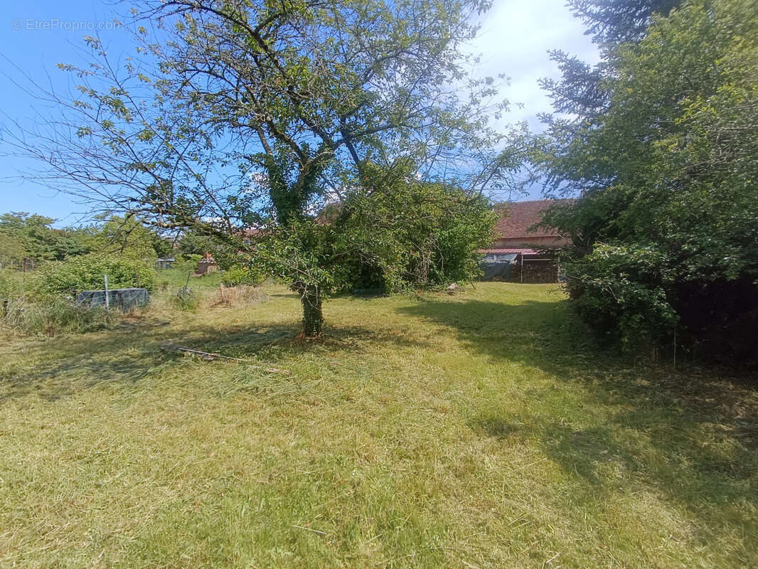 Maison à ENTRAINS-SUR-NOHAIN