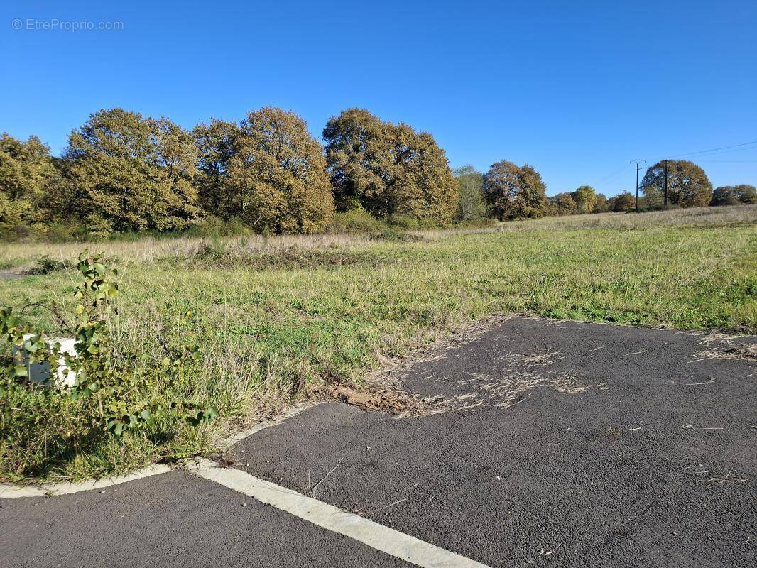 Terrain à BOUGUE