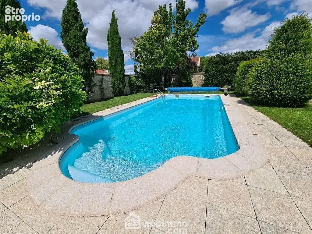 Une piscine chauffée de 10X5 mètres. - Maison à MILLY-LA-FORET