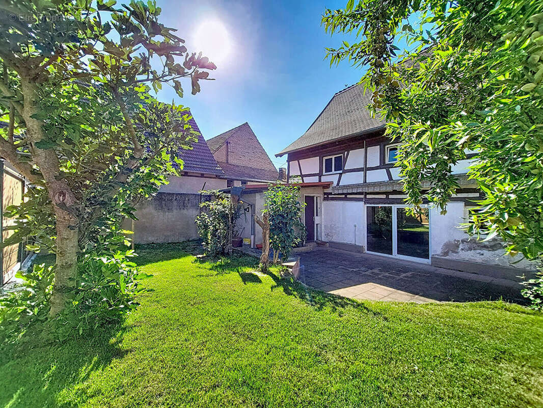 Maison à OBERSCHAEFFOLSHEIM