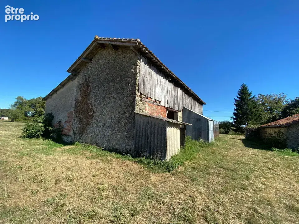 Ferme landaise en pierres 116m² - Dépendance + chai - Terrain - photo 23