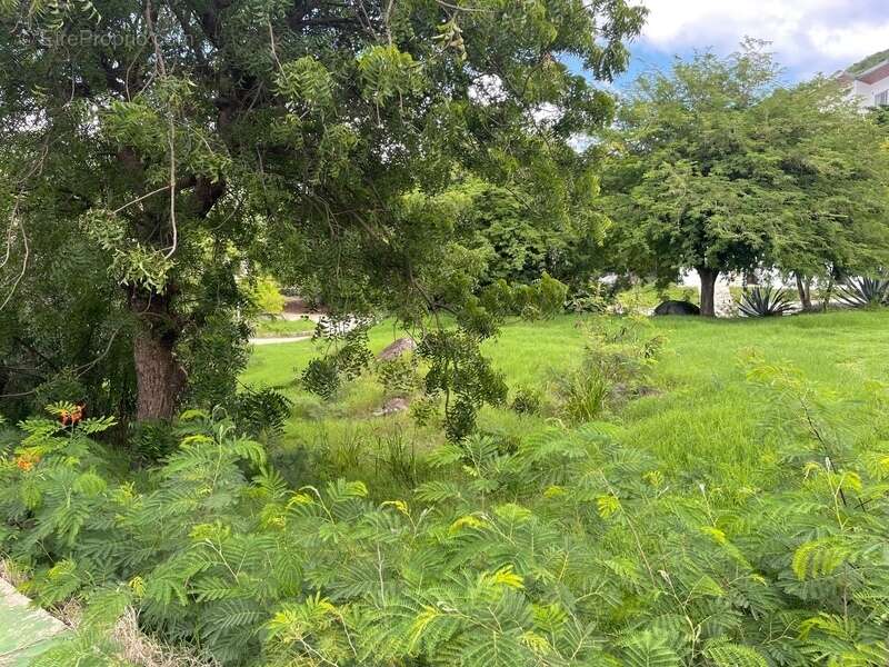 Terrain à SAINT-MARTIN