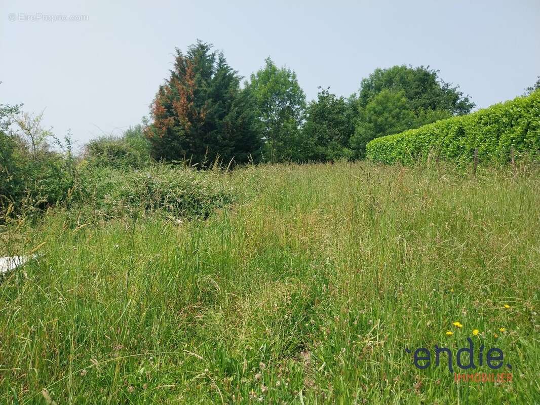 Terrain à THIERS