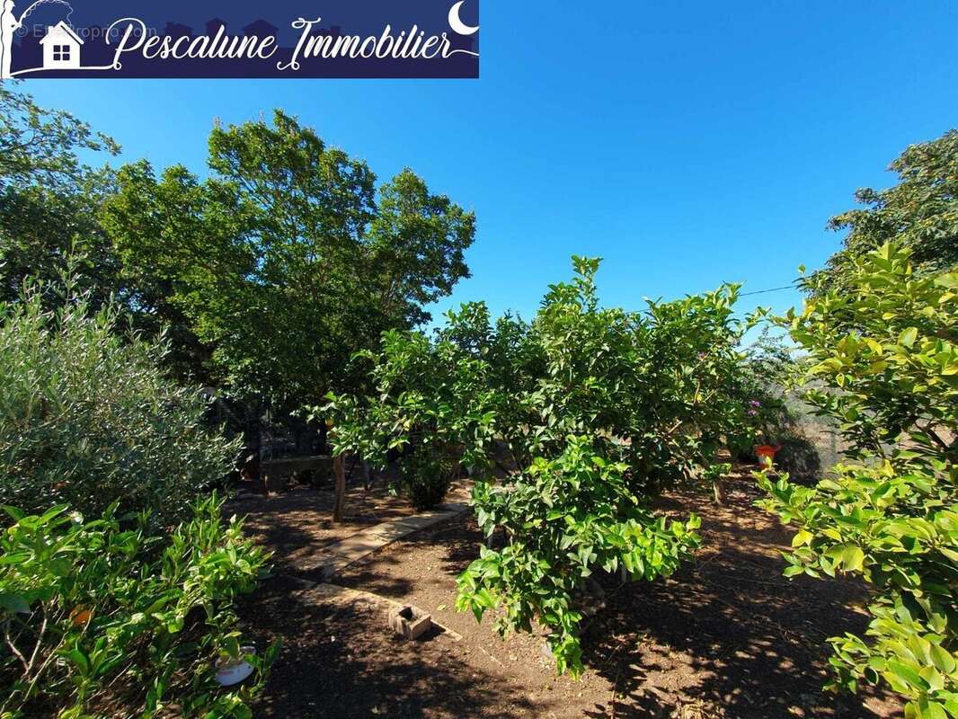 Propriété viticole 10 ha  Villa 95 m²  Vignes AOC - photo 8