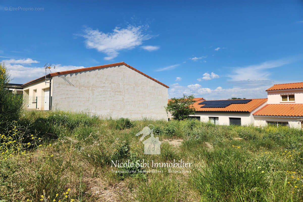 Terrain à CORBERE-LES-CABANES