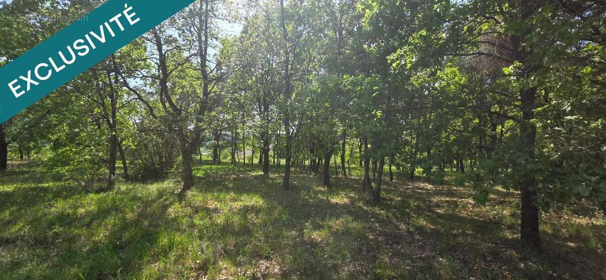 Photo 5 - Terrain à YZEURES-SUR-CREUSE
