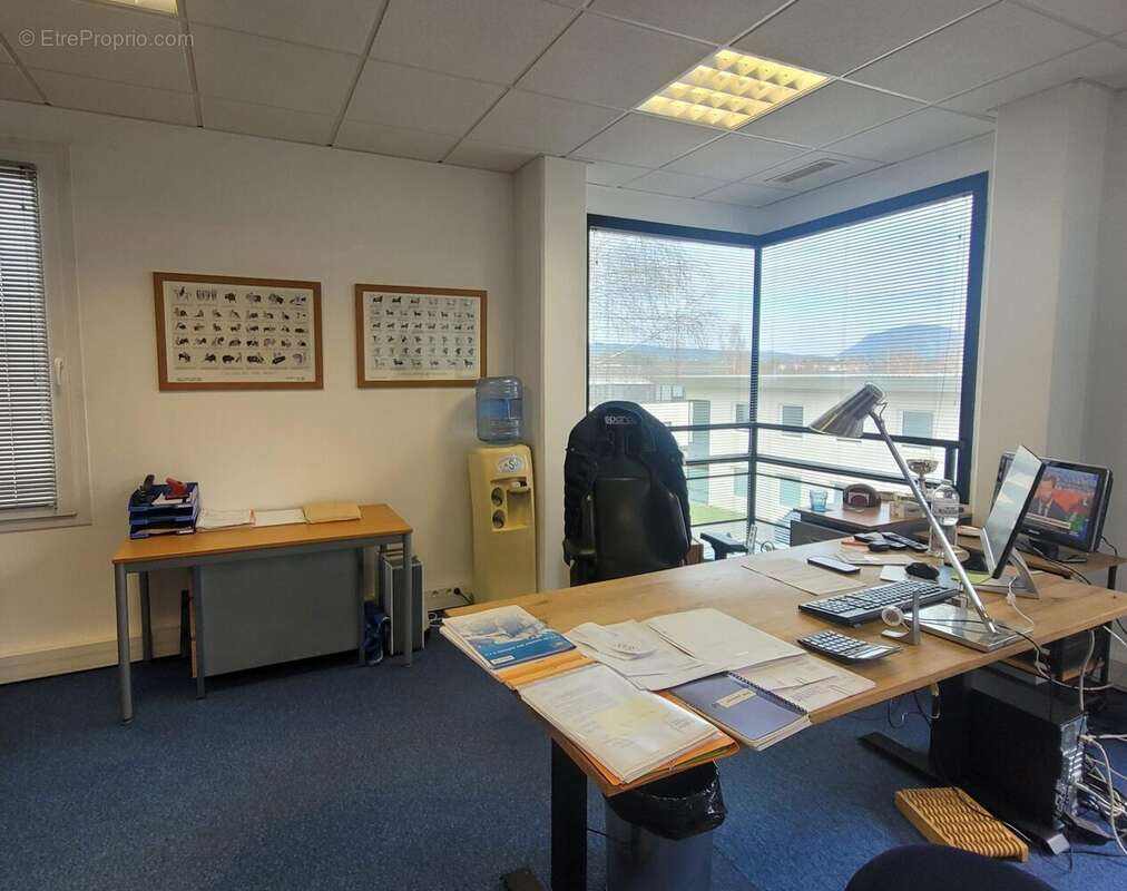 Commerce à CHAVANOD