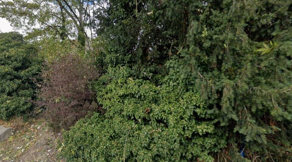 Terrain à BOUSSY-SAINT-ANTOINE