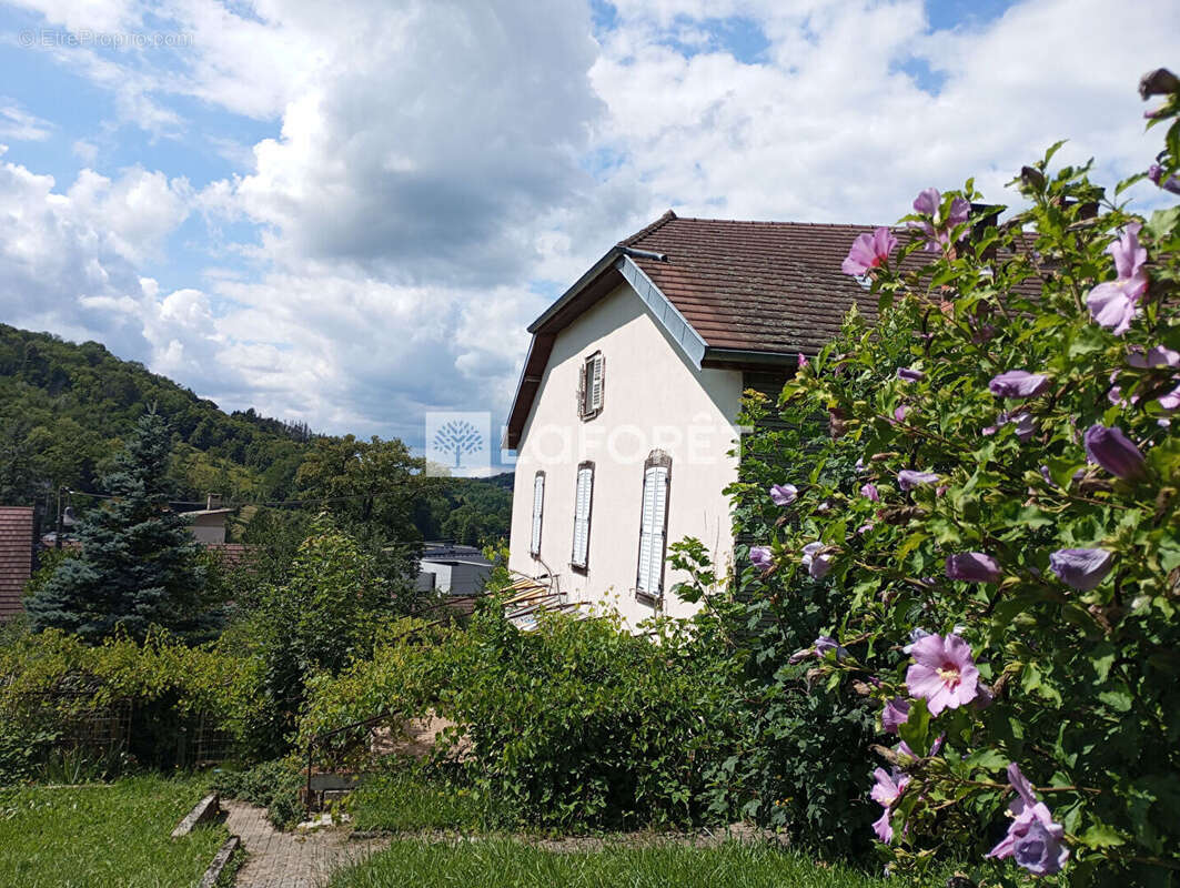 Maison à SALINS-LES-BAINS