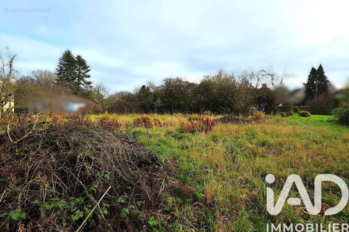 Photo 3 - Terrain à CHOISY-EN-BRIE