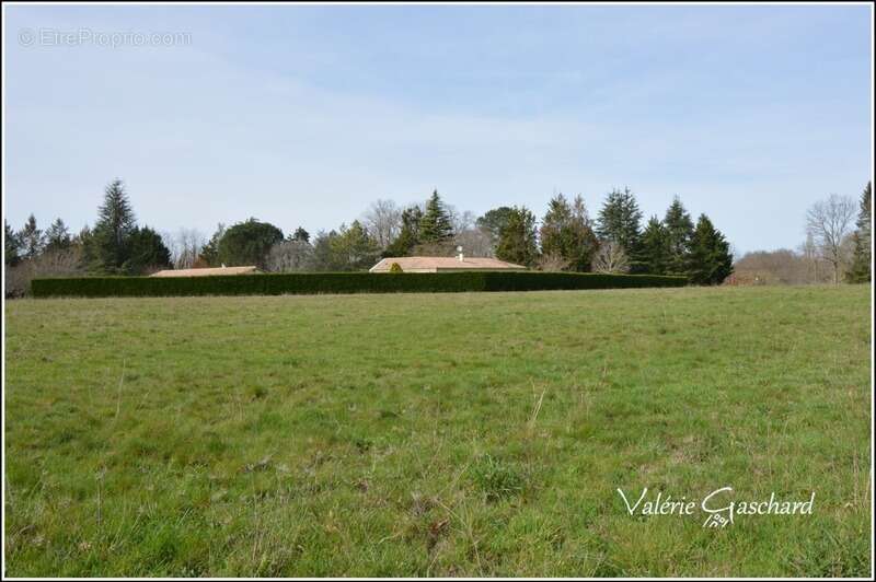 Maison à MOULIN-NEUF