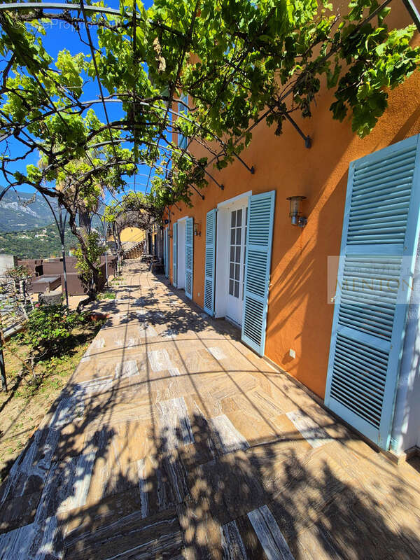 Menton - quartier  annonciade -  3 villas - vue panoramique mer - piscine 1800m terrain  - parkings - photo 4