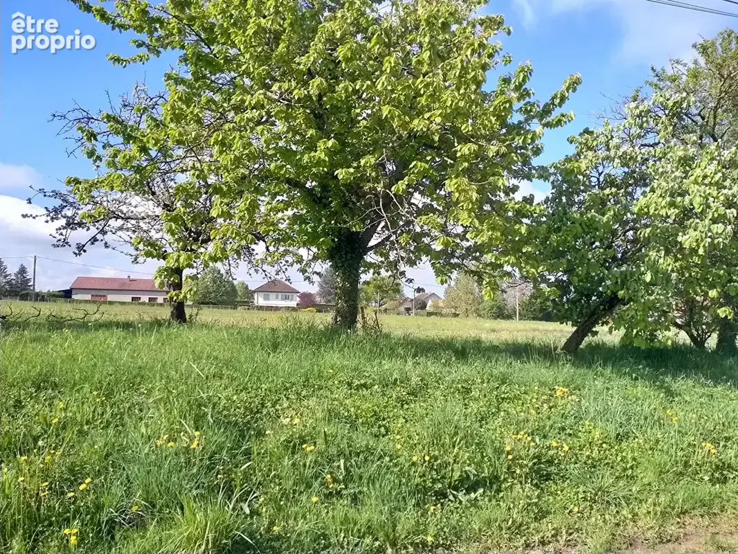 Terrain constructible avec arbres fruitiers 1147 m2 - 71620 St Maurice en Riviere - photo 4