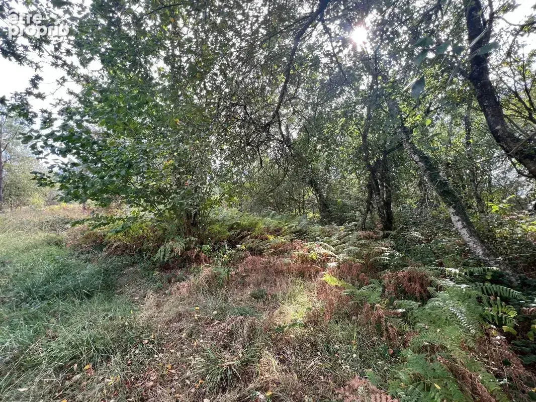 À vendre – argol – finistère – presqu’île de crozon-exceptionnel terrain de loisirs de 40 000 m² - photo 36