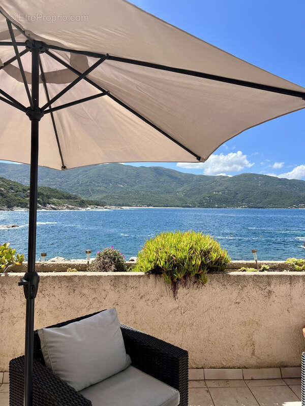 Appartement terrasses vue mer - photo 38