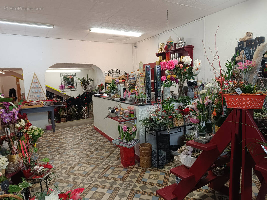 Commerce à BOURG-SAINT-ANDEOL