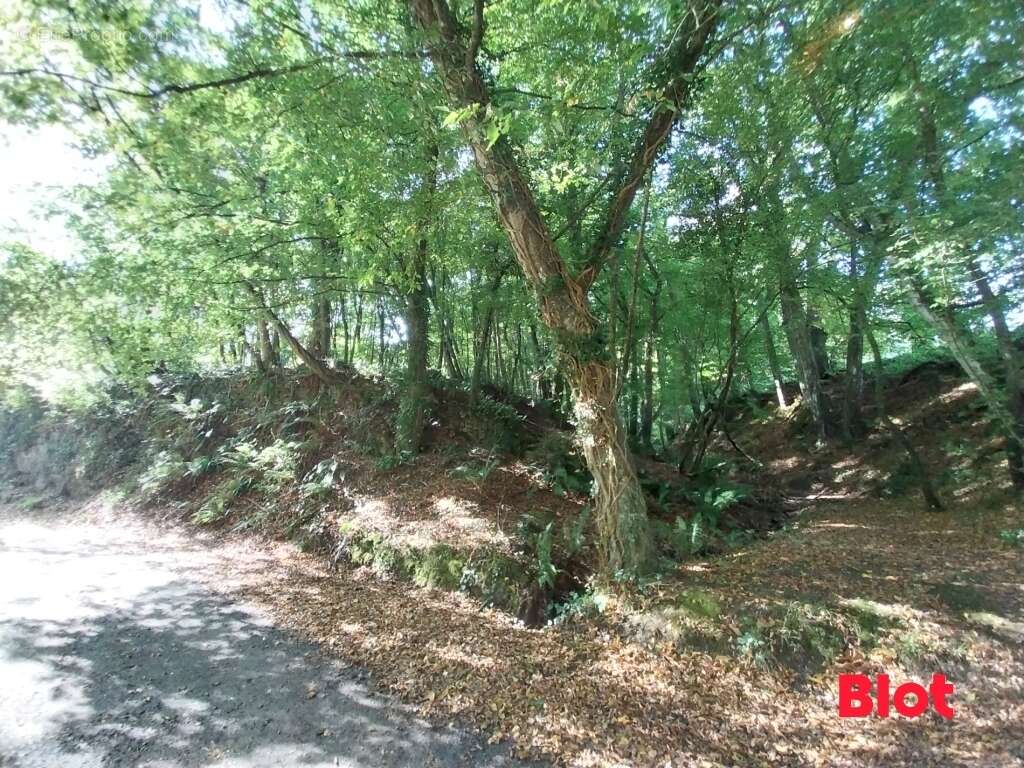 Terrain à LA VICOMTE-SUR-RANCE