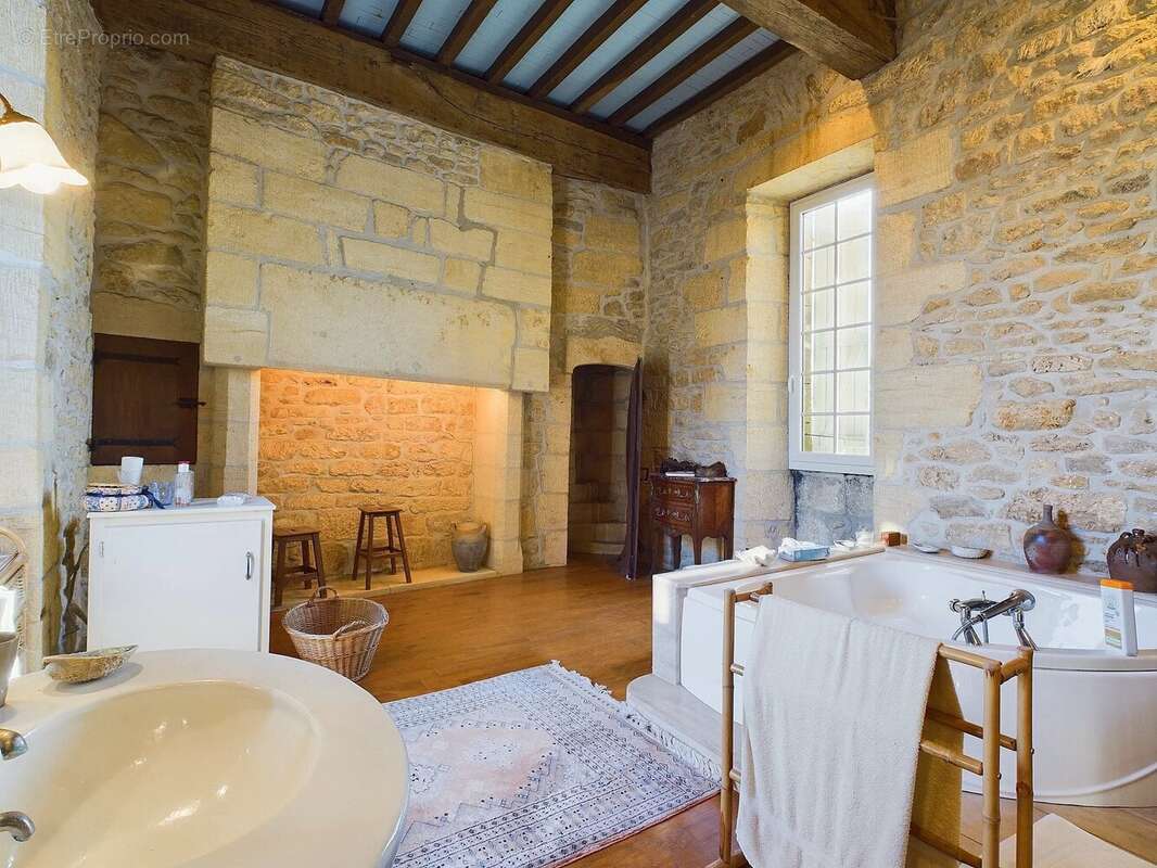 Beau manoir historique au coeur du Perigord Noir - photo 6