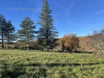 Terrain à LAVILLEDIEU